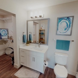 walk-in closet in bathroom