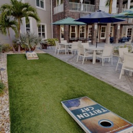 shuffleboard and outdoor games
